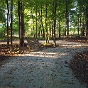 Cobblestone Park   Montville Duchek 9115